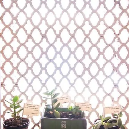 Apartamento Valaoritou *