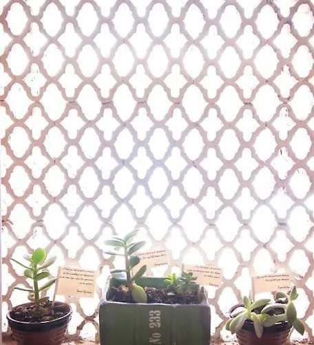 Апартаменты Valaoritou *